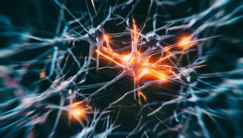 Alzheimer Vakalarının Artışı: Sebepler ve Gelecek Beklentileri
