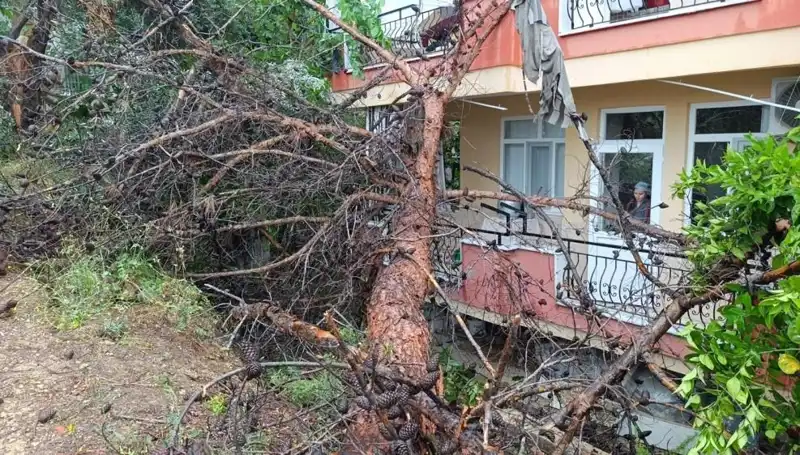 ** Yağmurun Gücü: Bina Çökünce Kent Hayatı Durdu!**