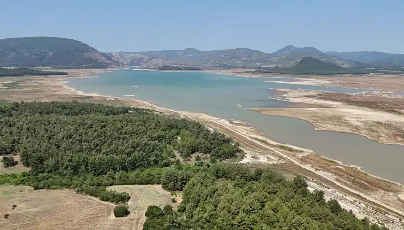 İzmir’de Alarm Zilleri Çalıyor: Geçen Yıla Göre Yüzde 50'lik Düşüş Neden?