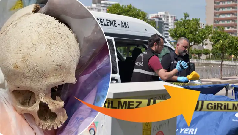 Çöp Yığınından Çıkan Kafatasının Gizemi ve Gözaltına Alınan Uzman Doktor