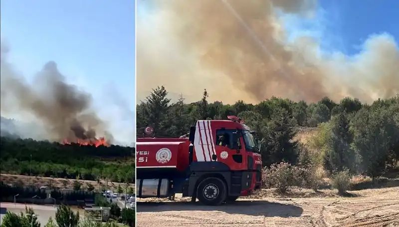 Gebze'de Korkutan Orman Yangını: Yangınla Mücadele İçin Tüm Ekipler Seferber Oldu