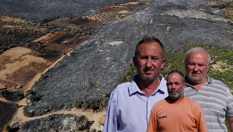 Çeşme Yangını: Yürek Burkan Hikayeler ve Acı Bilanço