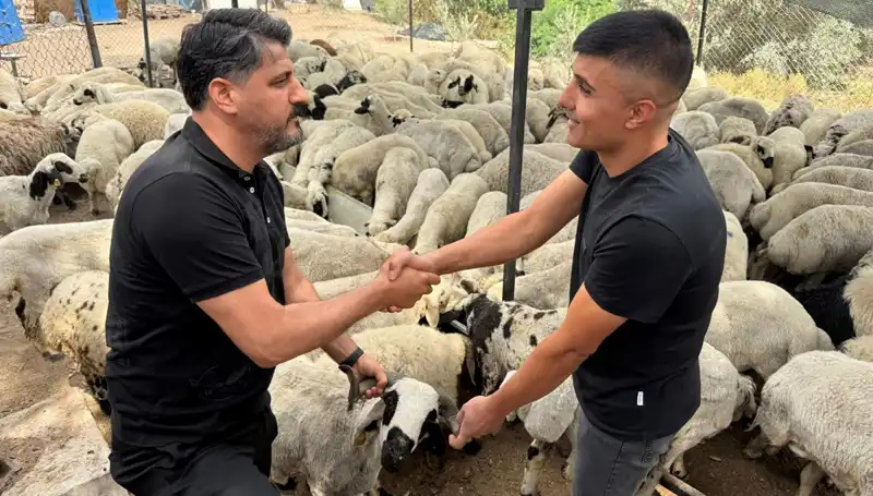 Kurbanlık Koyun Alırken Dikkat Edilmesi Gereken İpuçları