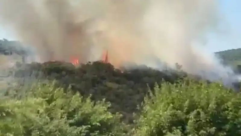 İstanbul’un Orman Yangını: Yerel Halk Tahliye Edildi, Endişe Verici Manzaralar!