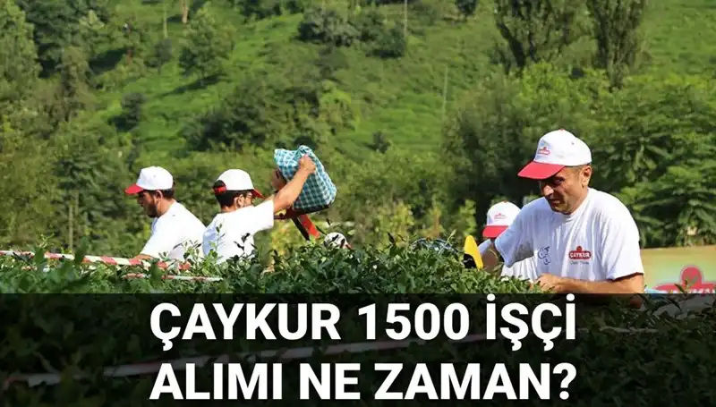 ÇAYKUR İşçi Alımı Kura Çekimi Ne Zaman? Gözler Nihai Listede!