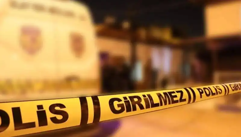 Diyarbakır'da Kayınpeder Kızını Korkunç Bir Şekilde Öldürdü, Kişisel Nedenler Tartışma Yarattı