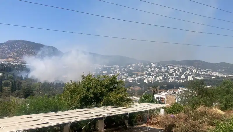 Muğla'daki Orman Yangınları Kontrol Altına Alındı: Kurtarma Mücadelesi Başarıldı