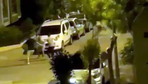 Avcılar'da 3 Kişinin Saldırısına Uğrayan Vatandaşı Kahramanlar Kurtardı