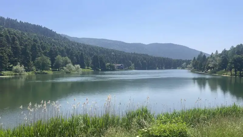 Bolu'nun Eşsiz Milli Parkları: Doğa Severlerin Akınına Uğradı