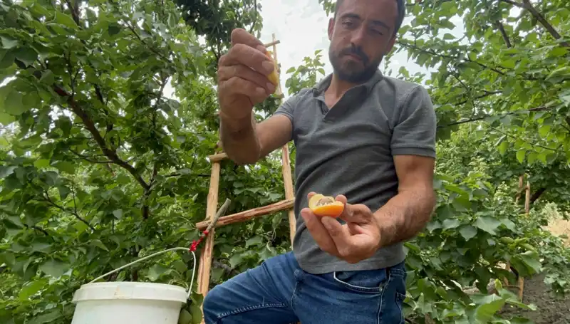 50 TL ile 70 TL Arasında Değeri Artan Lezzet: Gözde Ürün Nedir?
