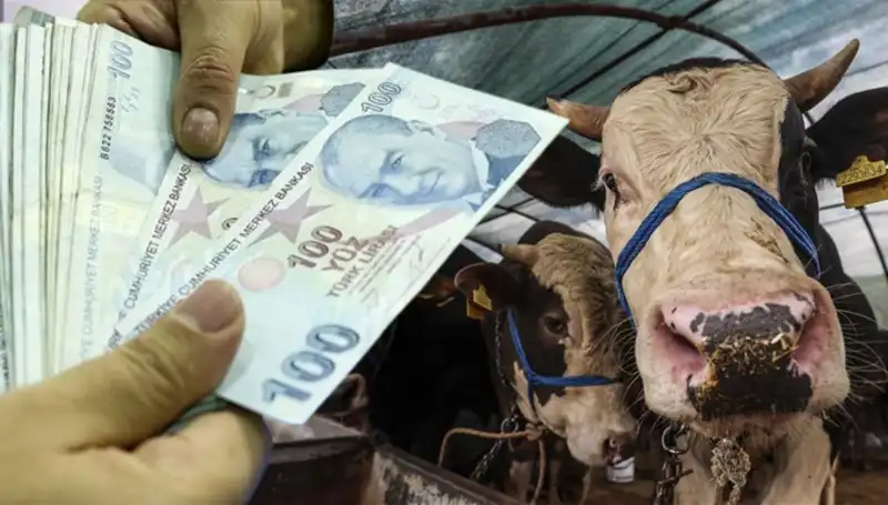 Emekli ve Memurların Haziran Maaşları Ne Zaman Yatacak?
