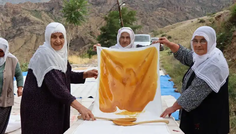 Yaz Aylarında Sağlıklı Beslenmenin Sırrı: Unla Kurutulmuş Lezzetler