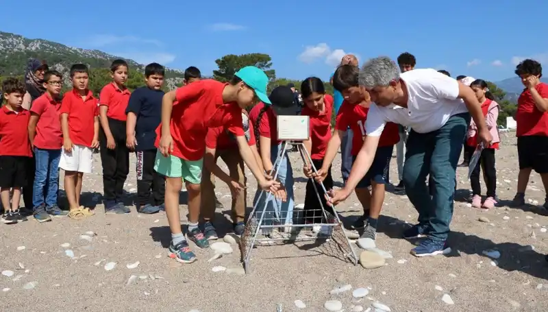 Kemer'de Caretta Caretta Koruma Yasakları Uygulamaya Girdi!