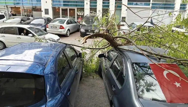 Kayseri'de Şiddetli Fırtına, Dalların Kırılmasına Neden Oldu