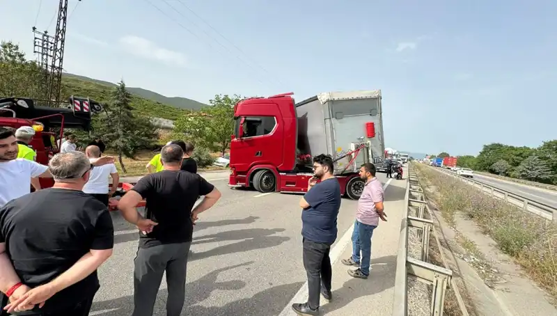 Seyir Halindeyken Arı Soktu: Trafikte Yaşanan Şok Edici Olay