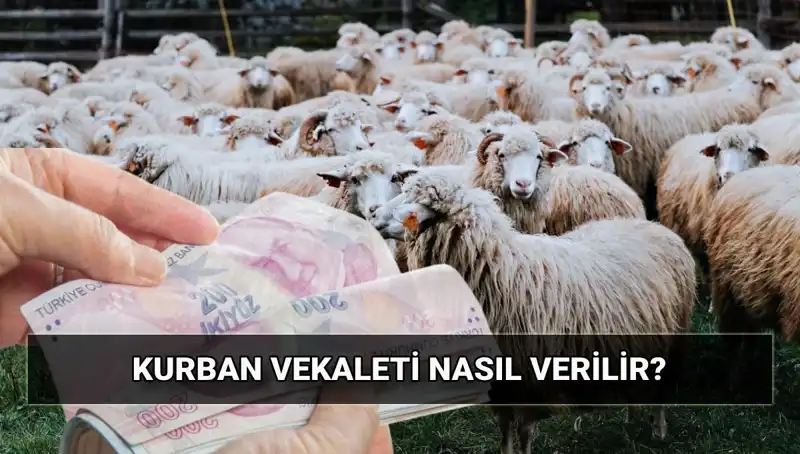 Vekaletle Kurban Kesimi: Diyanet’in 2025 Bedeli ve Süreç Rehberi
