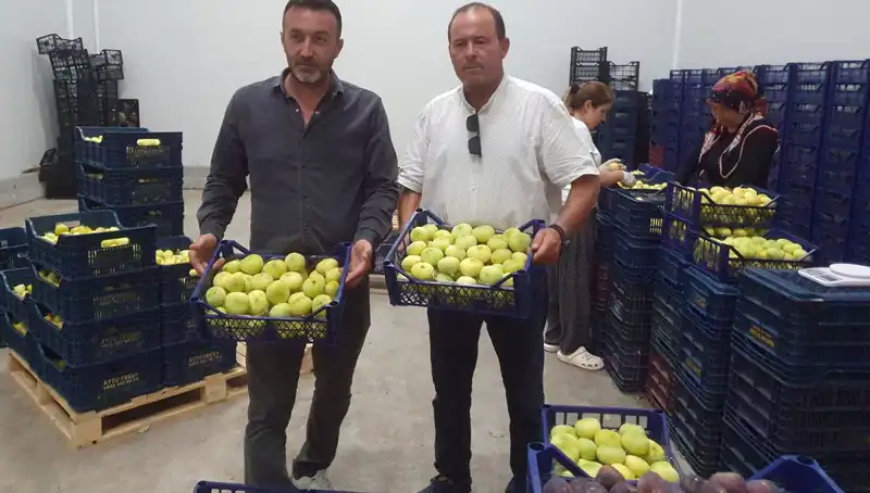 Mersinli Çiftçilerin Yeni Yüzü: İhracatta Rekor Fiyatlar