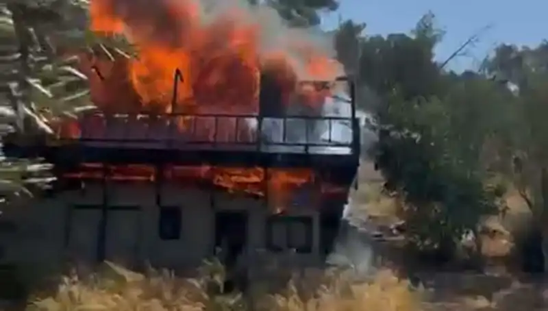 Bodrum'da Yangın Alarmı: Ekipler Seferber Oldu, Kurtarma Çalışmaları Başladı