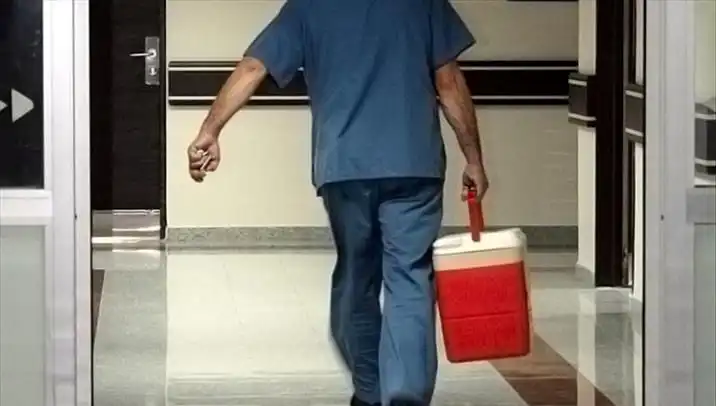 Organ Bağışında Devrim: e-Devlet ve e-Nabız üzerinden Güvenli Başvuru