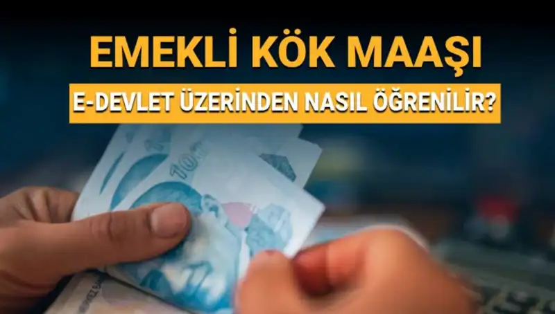 Kök Maaş Nasıl Öğrenilir? İşte Bilmeniz Gerekenler!