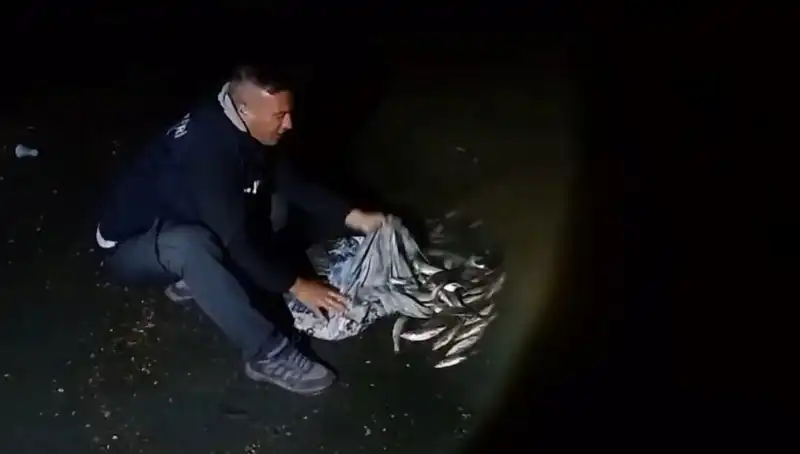 İnci Kefali Avında Tarihi Rekor: Bir Ton Balık Ele Geçirildi