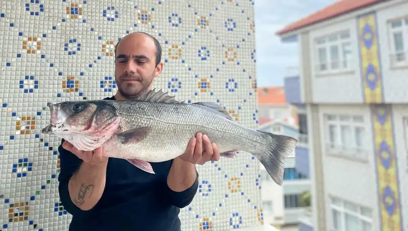 Dev Levrek Avı: 7,5 Kiloluk Balık Avcıları Büyüledi