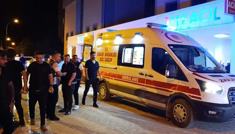 Kavga Çıkan Kardeşler Arasında Büyük Trajedi: Acı Son!