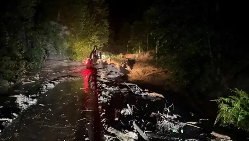 Rize'yi Vuran Şiddetli Yağışlar: Sel, Su Baskınları ve Heyelanlar