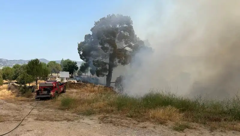 Muğla’da Orman Yangını: Doğa ve Hayvanlar Tehlike Altında