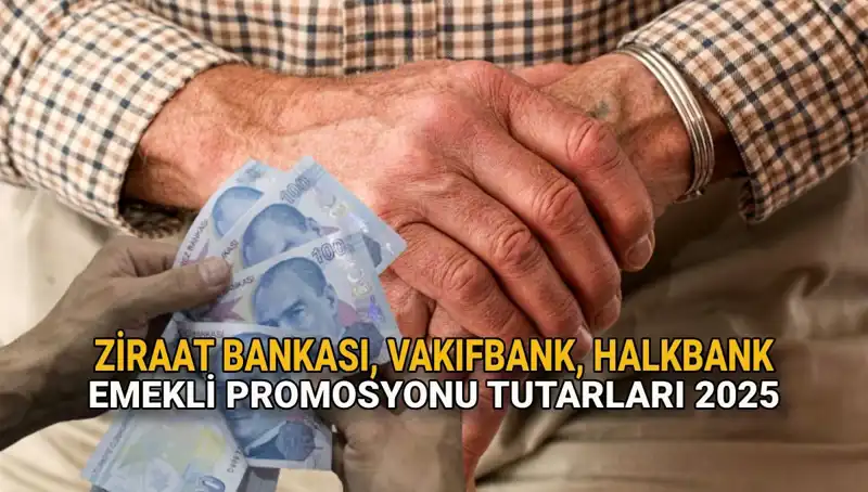 2025'te Kamu Bankalarından Emeklilere Promosyon Fırsatları