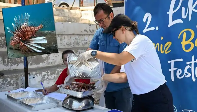 Antalya’da İstilacı Aslan Balığı Avlama Yarışması: Denizin Tehdidi ile Mücadele