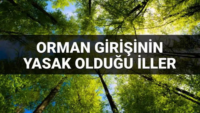 2025'te Hangi İllerde Ormana Girmek Yasaklandı? İşte Liste!
