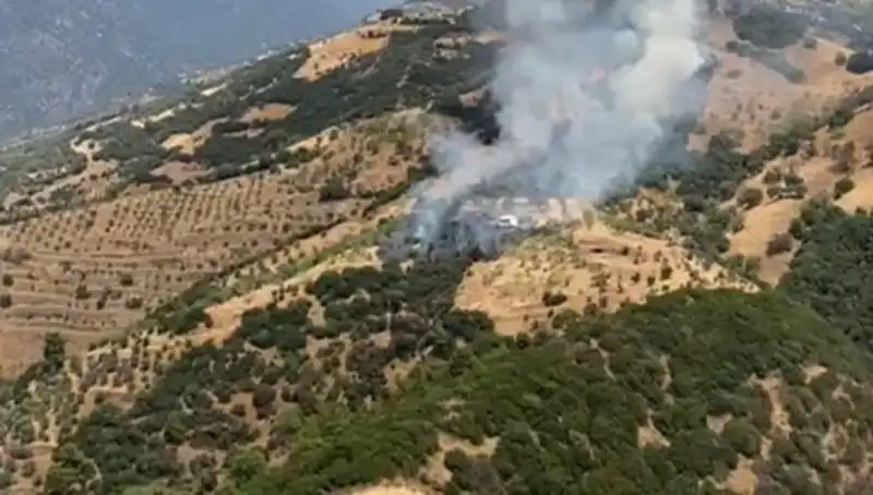 Aydın'da Zeytinlik Yangını: Tarım Alanında Korkutan Hasar!