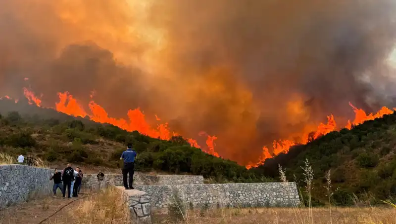 Orman Yangınları Bursa, Kocaeli ve İzmir’i Tehdit Altında Bırakıyor