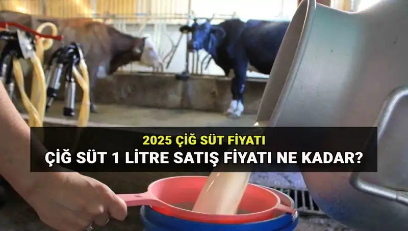 Çiğ Süt Fiyatları 2025: Ulusal Süt Konseyi'nin Yeni Verileri