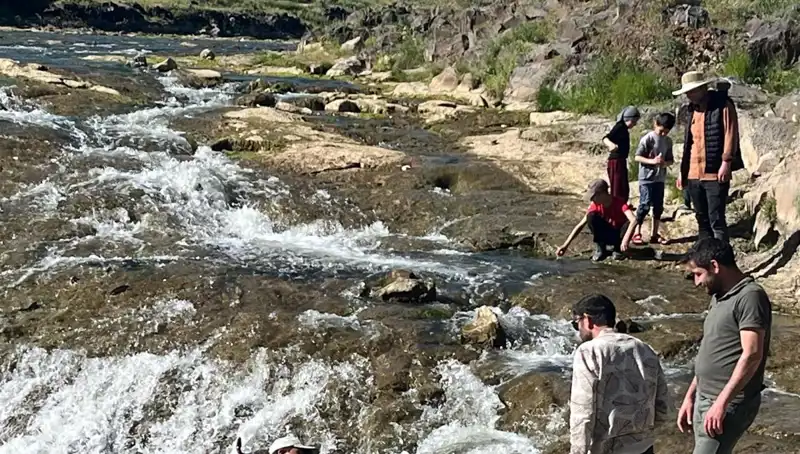 İnci Kefali Göçü: Doğanın Bu Harikası Turistleri Büyülüyor