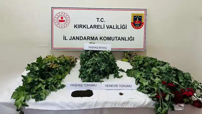 Kırklareli'nde Uyuşturucu Operasyonu: 8 Gözaltı ve Çarpıcı Detaylar