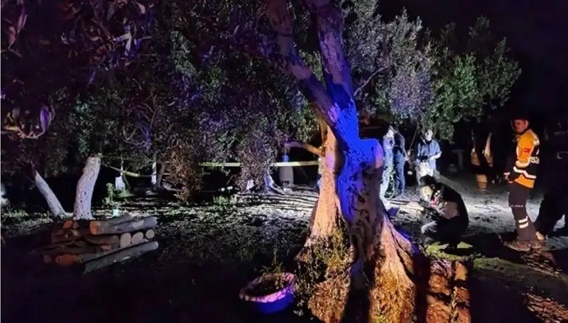 Çiftlikte Baltalı Vahşete Sona Erildi: Şok Gelişmeler ve Tutuklama