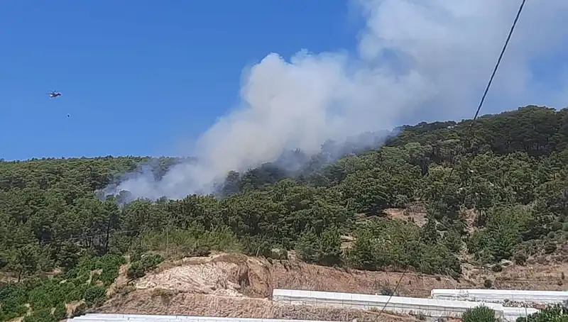 Kumluca'da Yangın Alarmı: Ormanlar Alev Alev!